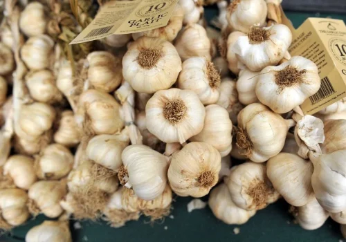 garlic-plait