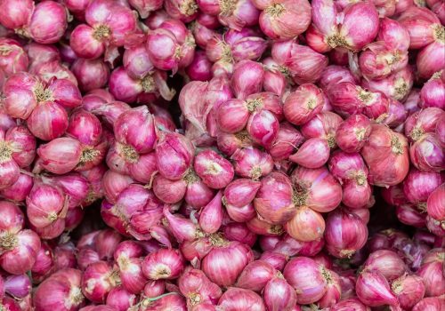 small-red-onion